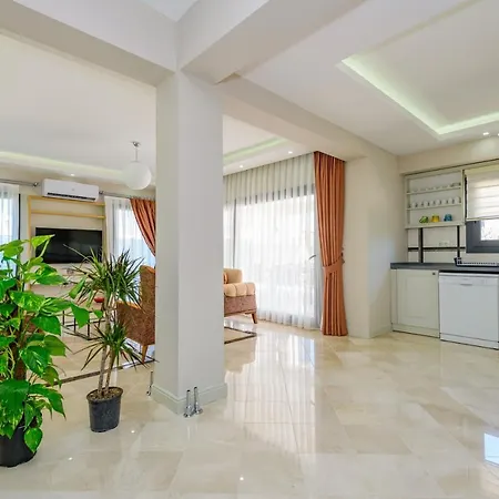 Villa Meropis 别墅 费特希耶