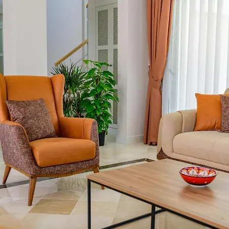 Villa Meropis * 费特希耶
